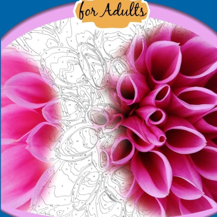 Color by Numbers for Adults: Flowers