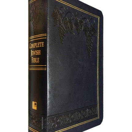 Complete Jewish Bible: An English Version by David H. Stern - Giant Print