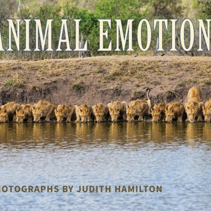 Animal Emotions