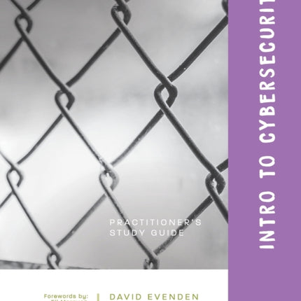 Intro to Cybersecurity: A Practitioner's Study