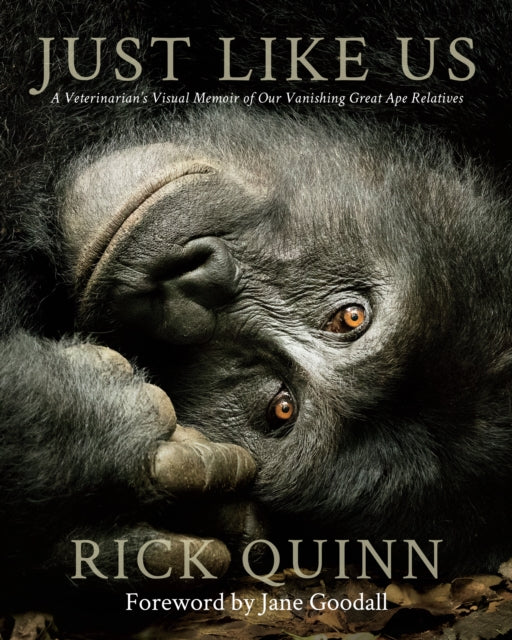 Just Like Us: A Veterinarian’s Visual Memoir of Our Vanishing Great Ape Relatives