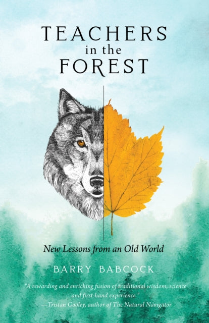 Teachers in the Forest: New Lessons from an Old World