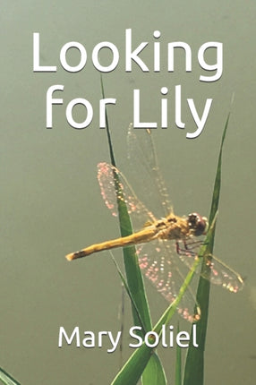 Looking for Lily