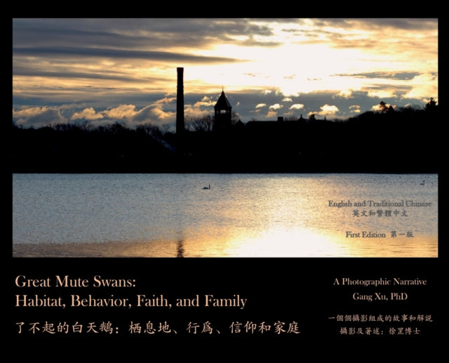 Great Mute Swans: Habitat, Behavior, Faith, and