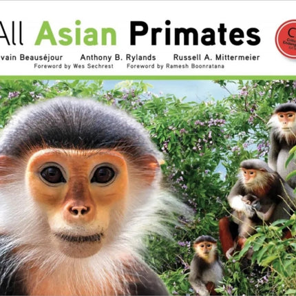 All Asian Primates