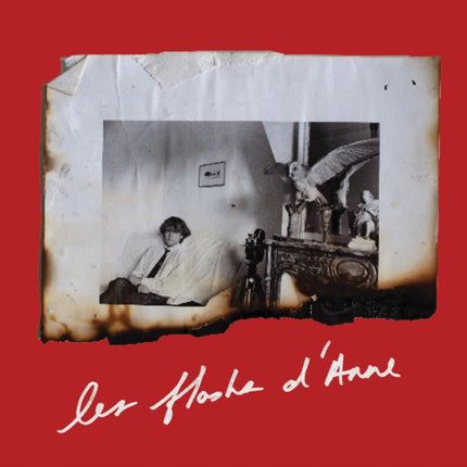 Anne Day Les Flashes DAnne