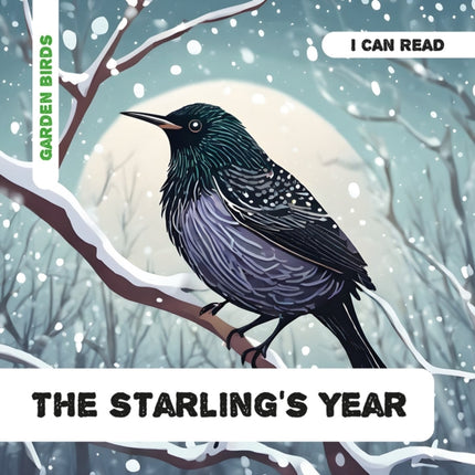 The Starlings Year