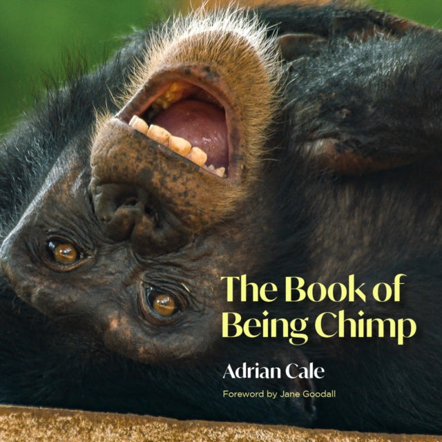 The Book of Being Chimp