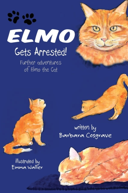Elmo Gets Arrested!: Further adventures of Elmo