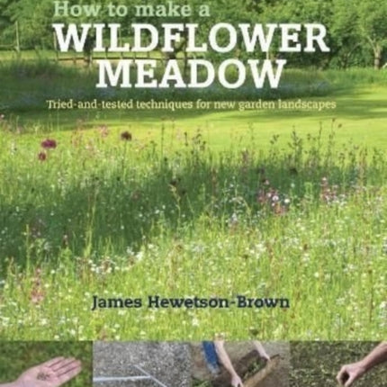 How to make a wildflower meadow: Tried-And-Tested Techniques for New Garden Landscapes