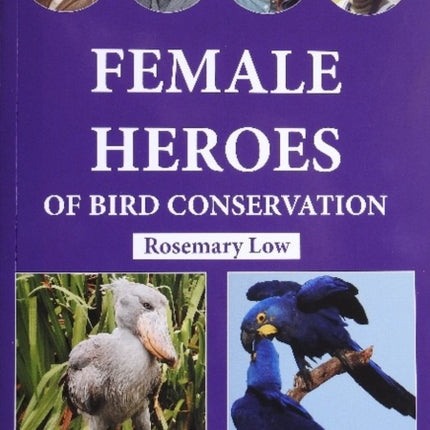 Female Heroes of Bird Conservation