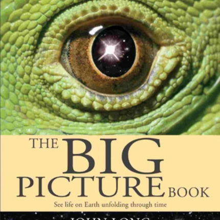 The Big Picture Book