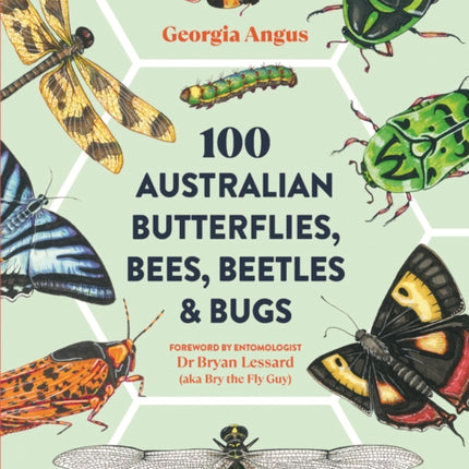 100 Australian Butterflies, Bees, Beetles & Bugs