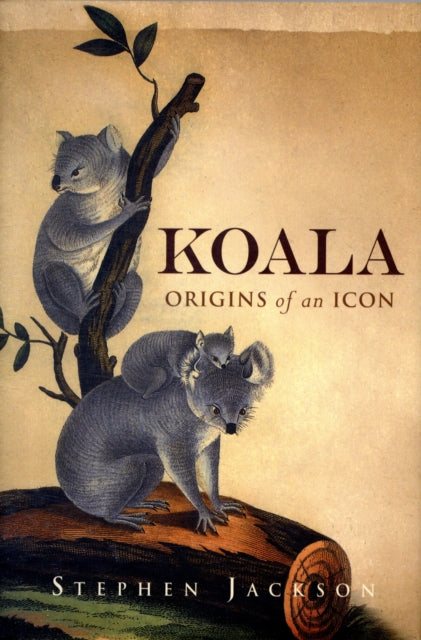 Koala Origins of an icon