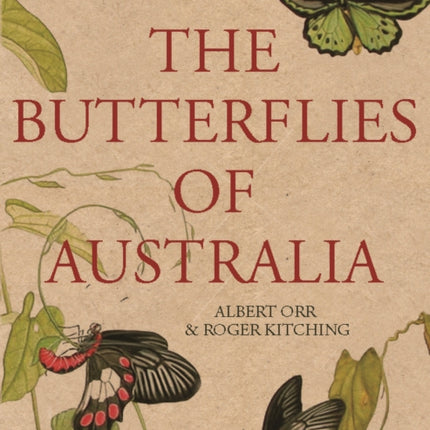 The Butterflies of Australia