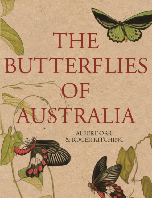 The Butterflies of Australia