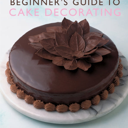 BeginnerS Guide to Cake Decorating