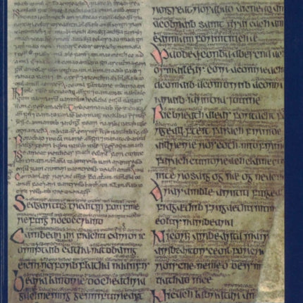 Late Medieval Irish Law Manuscripts: A Reappraisal of Methodology and Content