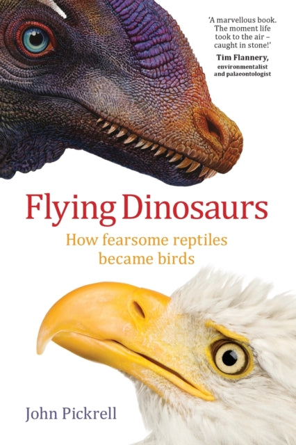 Flying Dinosaurs: How fearsome reptiles became