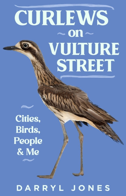 Curlews on Vulture Street: Cities, Birds, People