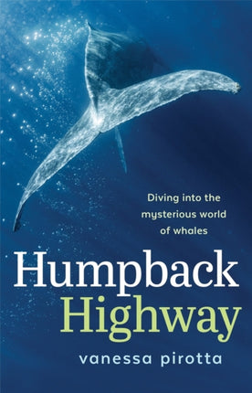 Humpback Highway  Diving into the mysterious
