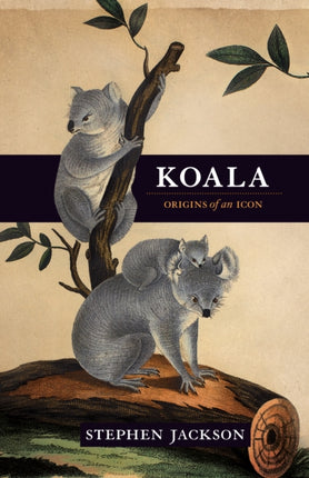 Koala: Origins of an icon