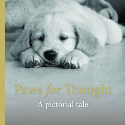 Paws For Thought: A pictorial tale