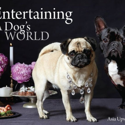 Entertaining - A Dog's World