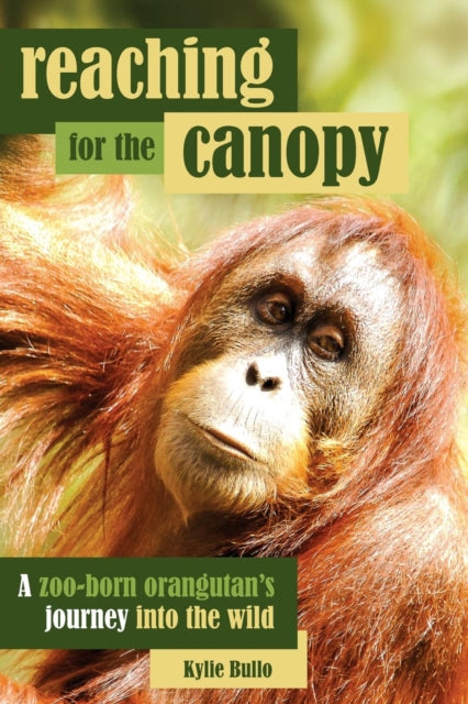 Reaching for the Canopy: A Zoo-Born Orangutan's Journey Back to the Wild