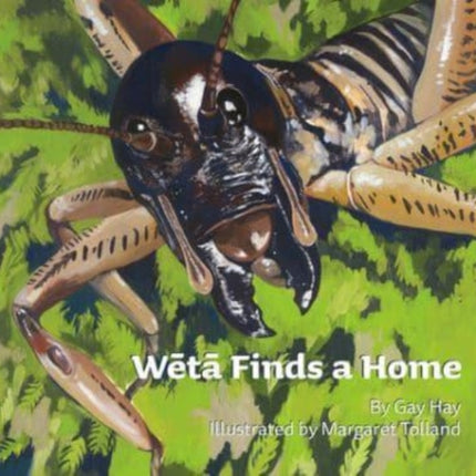 Weta Finds a Home