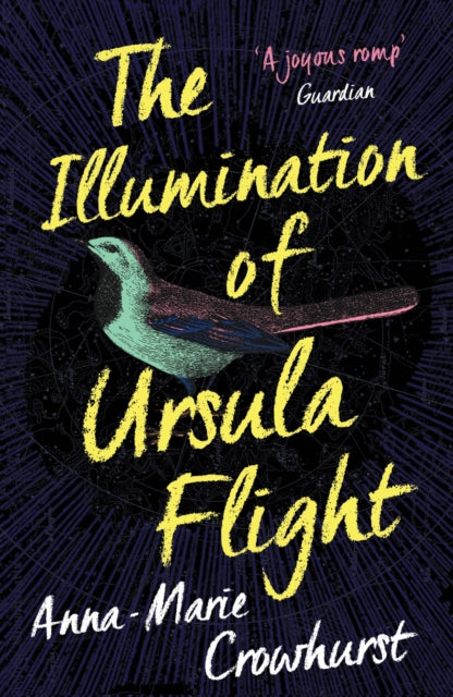 The Illumination of Ursula Flight