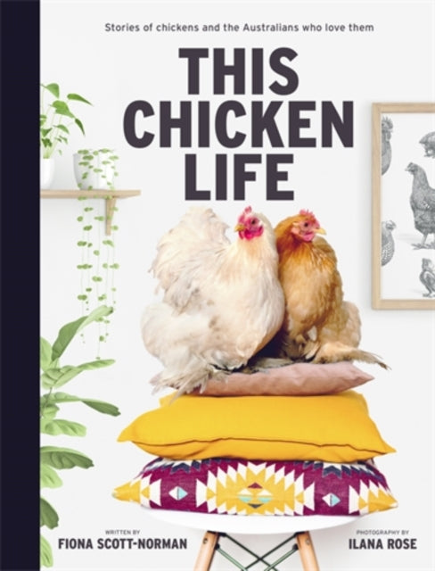 This Chicken Life Stories of chickens and the Australians who love them