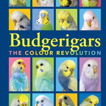 Budgerigars