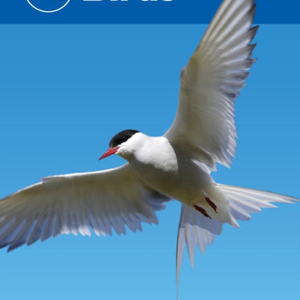 Reed Mini Guide Birds