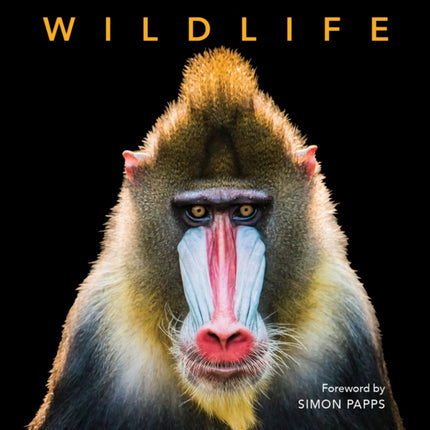 Deluxe Wildlife