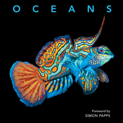 Deluxe Oceans