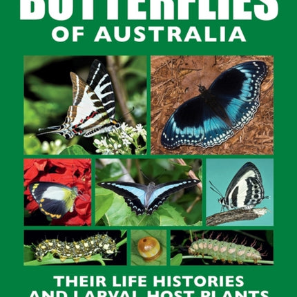 A Field Guide to Butterflies of Australia