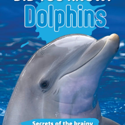 Did You Know Dolphins