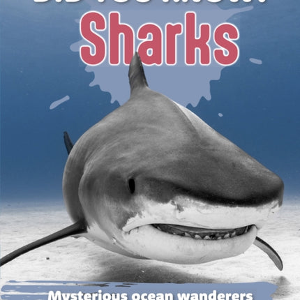 Did You Know Sharks