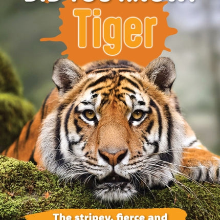 Did You Know Tiger