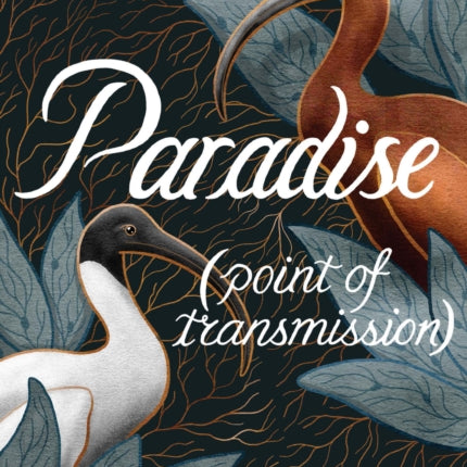 Paradise: Point of Transmission