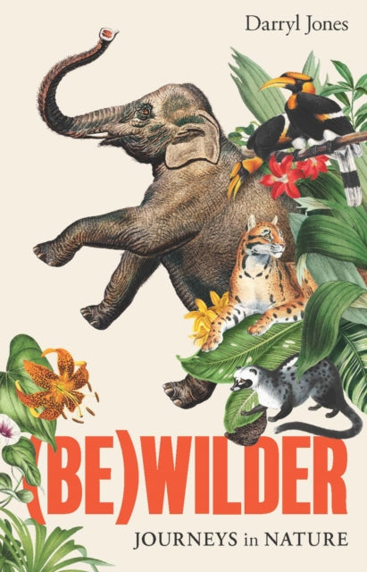 Bewilder