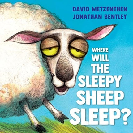 Where Will the Sleepy Sheep Sleep