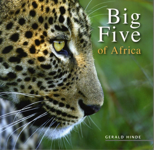 Big Five of Africa