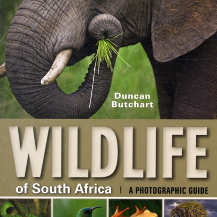 Wildlife of South Africa: A Photographic Guide