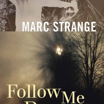 Follow Me Down: An Orwell Brennan Mystery