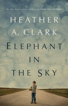 Elephant In The Sky: A Novel