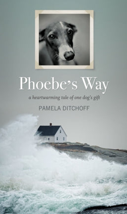 Phoebe's Way: A Heartwarming Tale of One Dog's Gift