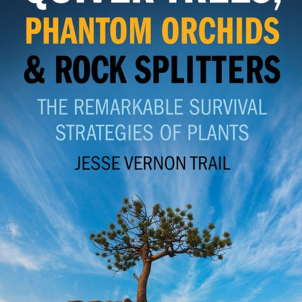 Quiver Trees, Phantom Orchids And Rock Splitters: The Remarkable Survival Strategies of Plants