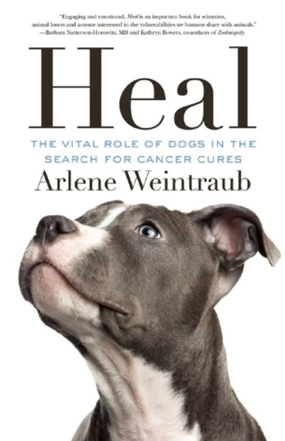 Heal: The Vital Role of Dogs in the Search for Cancer Cures